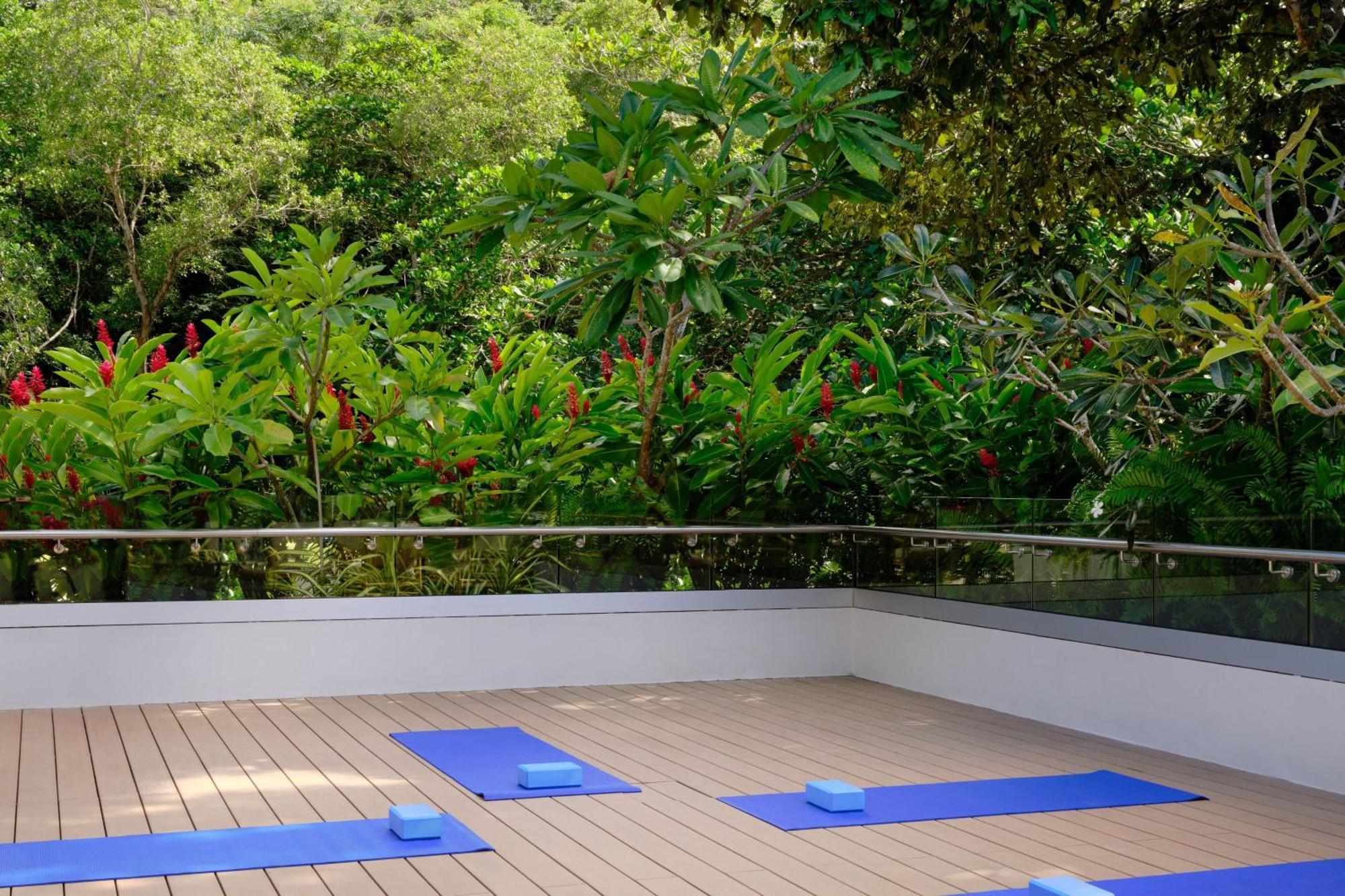 Laila, Seychelles, A Tribute Portfolio Anse Royale